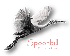 spoonbill logo main.png